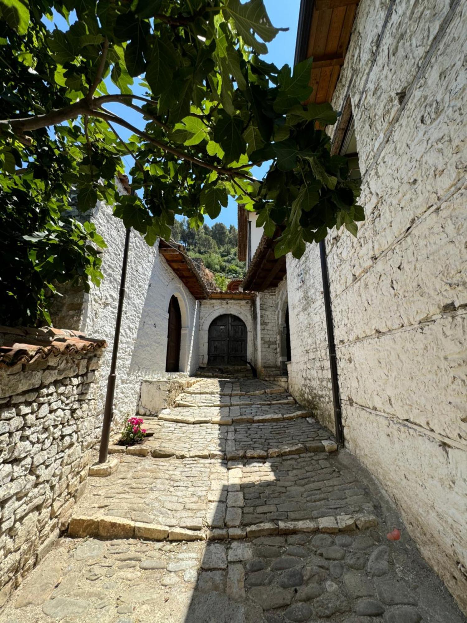 Meroli Guesthouse - Unesco Quarter Berat Ngoại thất bức ảnh
